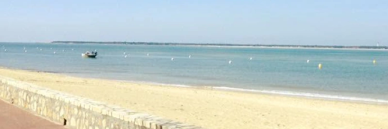 Spot de Les arbousiers